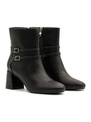 Belluci Botki w kolorze czarnym