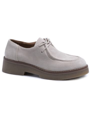 C'M Schnürschuhe in Grau