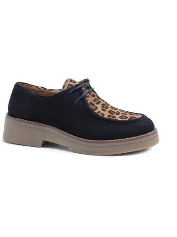 C'M Schnürschuhe in Dunkelblau/ Beige/ Hellbraun