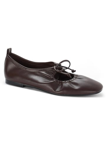 C'M Ballerinas in Braun