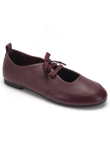 C'M Ballerinas in Lila