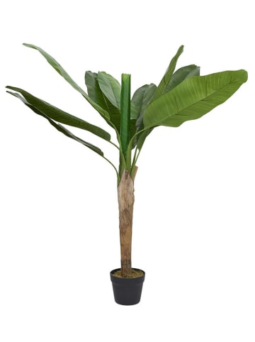 Ethnical Life Kunstplant groen - (H)120 x Ø 40 cm