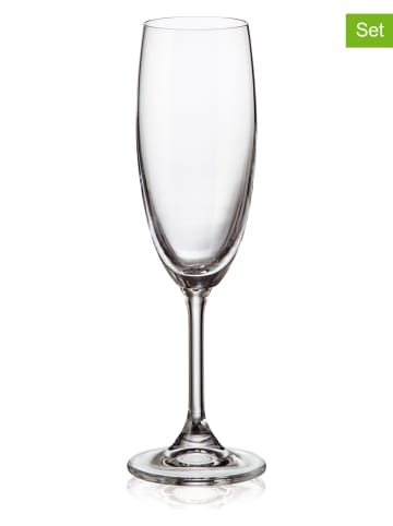 Ogo Living 6er-Set: Sektflöten "Oslo" - 200 ml