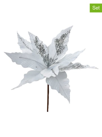 Clayre & Eef Rośliny dekoracyjne (2 szt.) w kolorze srebrno-białym - wys. 26 cm