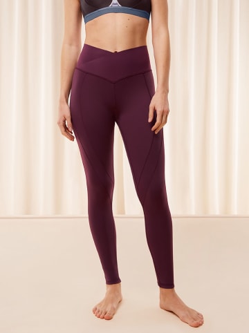 Triumph Legging auberginekleurig