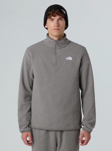 The North Face Fleece trui grijs