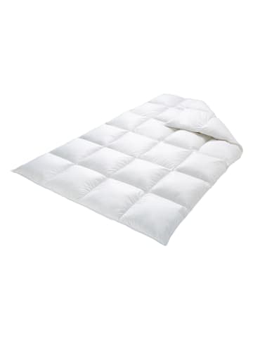 Schäfer Daunen-Kassettenstegdecke "puröko" in Creme