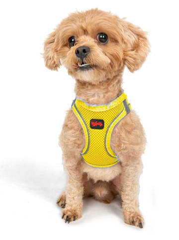 Paws&Whiskers Hundegeschirr in Gelb