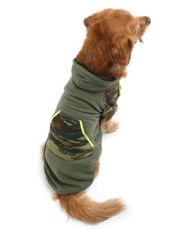 Paws&Whiskers Bluza w kolorze khaki dla psa