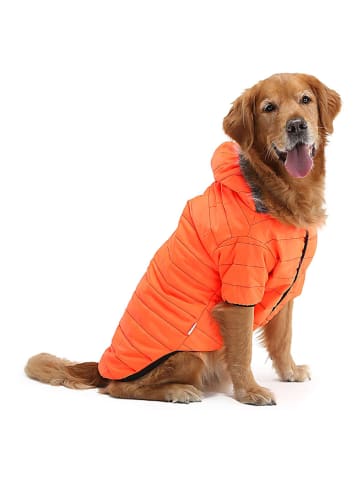 Paws&Whiskers Hondenhoodie oranje