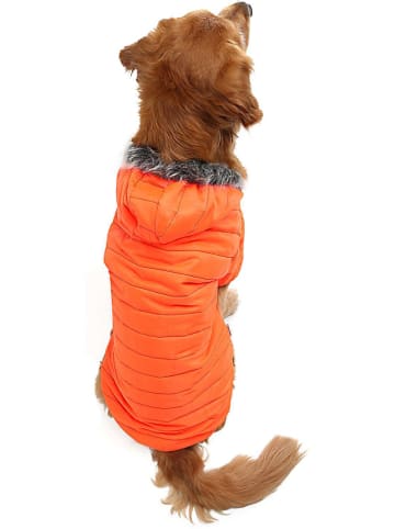 Paws&Whiskers Bluza w kolorze pomarańczowym dla psa