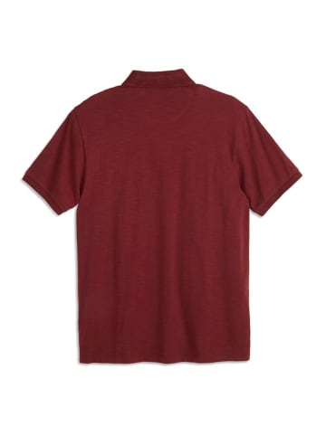 Scotch & Soda Poloshirt in Bordeaux
