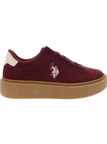 U.S. Polo Assn. Sneakersy w kolorze czerwonym
