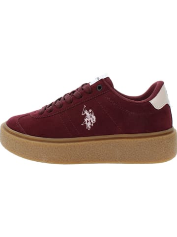 U.S. Polo Assn. Sneakers rood