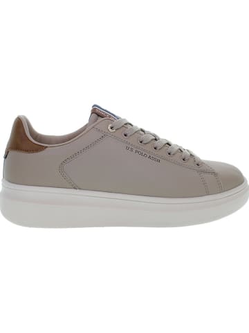 U.S. Polo Assn. Sneakers "Cody" in Beige