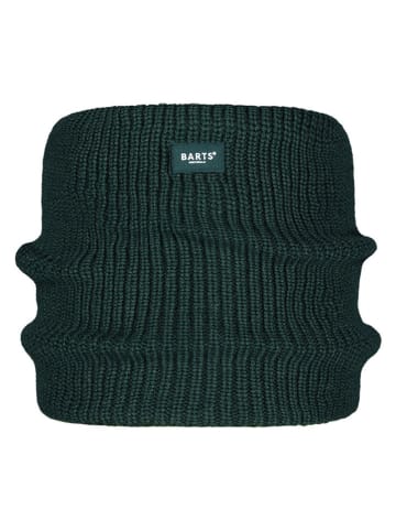 Barts Loop-Schal "Granyte" in Grün