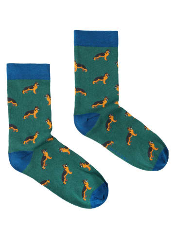 TATUUM Skarpety w kolorze ciemnozielono-niebieskim