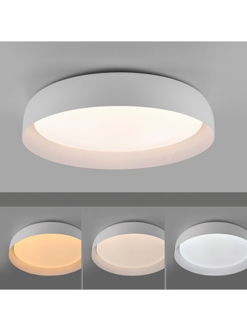 Just Light Lampa sufitowa LED w kolorze białym - Ø 57 cm