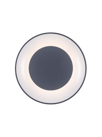 Paul Neuhaus Lampa sufitowa LED "Anika" w kolorze antracytowym - Ø 45 cm