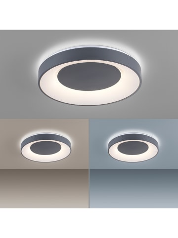 Paul Neuhaus LED-Deckenleuchte "Anika" in Anthrazit - Ø 45 cm