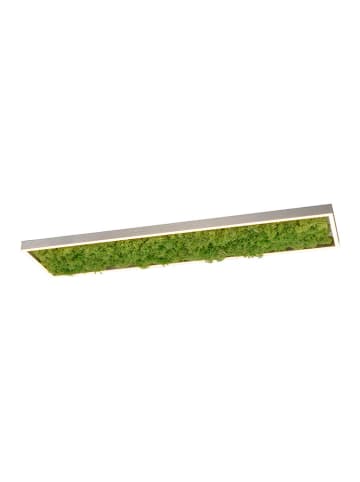 Just Light Lampa sufitowa LED "Green K." - KEE E (A do G) - 100 x 5,6 x 25 cm
