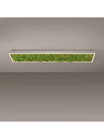 Just Light LED-Deckenleuchte "Green K." - EEK E (EEK A bis G) - (B)100 x (H)5,6 x (T)25 cm