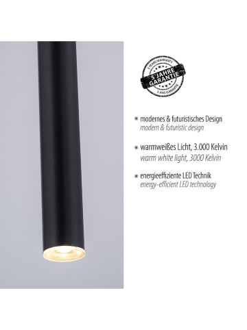 Paul Neuhaus LED-Hängeleuchte in Schwarz - (L)120 cm
