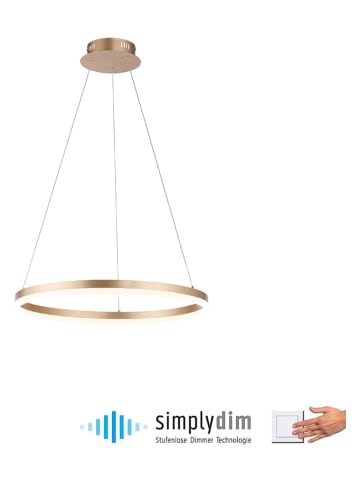Paul Neuhaus Lampa wisząca LED "Titus" w kolorze złotym - Ø 60 cm