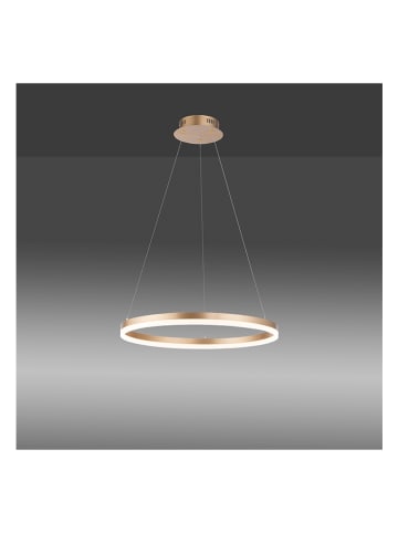 Paul Neuhaus Lampa wisząca LED "Titus" w kolorze złotym - Ø 60 cm
