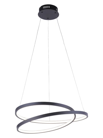 Paul Neuhaus Ledhanglamp "Roman" zwart - Ø 55 cm