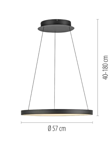 Just Light Ledhanglamp "Hoop" zwart - (H)180 x Ø 57 cm