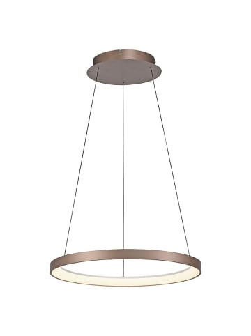Just Light LED-Hängeleuchte "Hoop" in Braun - (H)180 x Ø 57 cm