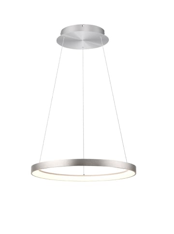 Just Light Ledhanglamp "Hoop" zilverkleurig - (H)180 x Ø 57 cm