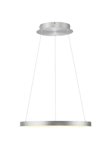 Just Light Ledhanglamp "Hoop" zilverkleurig - (H)180 x Ø 57 cm