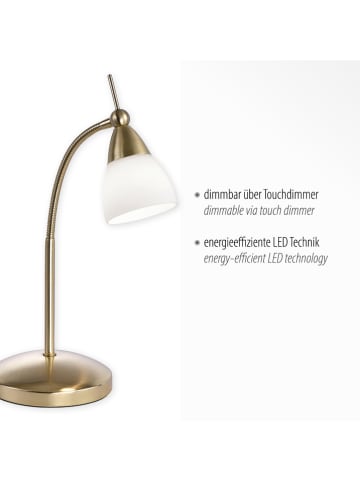 Paul Neuhaus Lampa stołowa w kolorze złotym - 30 x 45 cm