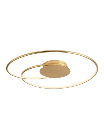 Paul Neuhaus Lampa sufitowa LED w kolorze złotym - Ø 65 cm