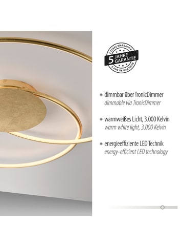 Paul Neuhaus Ledplafonnière goudkleurig - Ø 65 cm