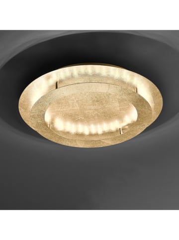 Paul Neuhaus Lampa sufitowa LED "Nevis" w kolorze złotym - Ø 50 cm