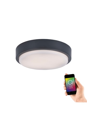 Just Light LED-Deckenleuchte "Q-Lenny" in Schwarz - (H)7,5 x Ø36,4 cm