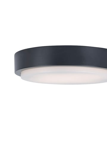 Just Light LED-Deckenleuchte "Q-Lenny" in Schwarz - (H)7,5 x Ø36,4 cm