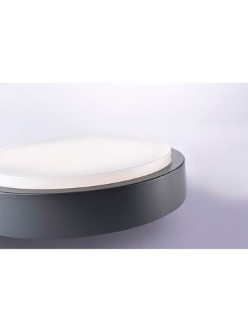 Just Light Lampa sufitowa LED "Q-Lenny" w kolorze czarnym - wys. 7,5 x Ø 36,4 cm