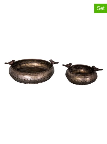 Anticline Poidła (2 szt.) w kolorze brązowym dla ptaków