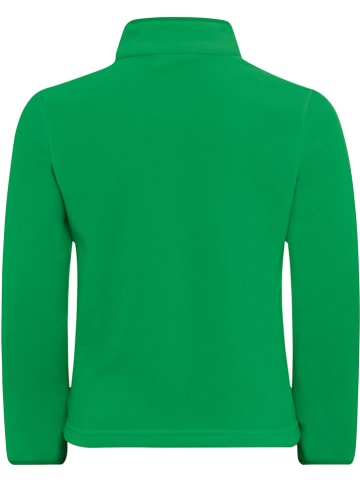 Jack Wolfskin Bluza polarowa "Taunus" w kolorze zielonym