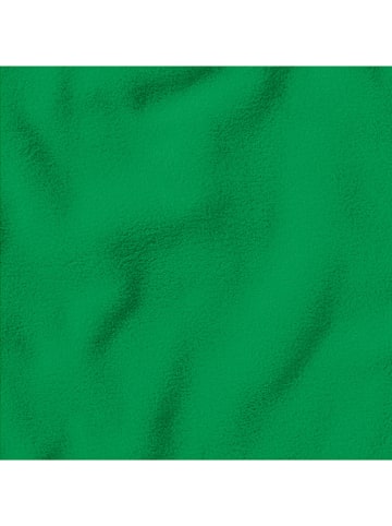 Jack Wolfskin Fleecepullover "Taunus" in Grün