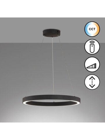FISCHER & HONSEL Lampa wisząca LED "Sirko" w kolorze czarnym - Ø 60 cm