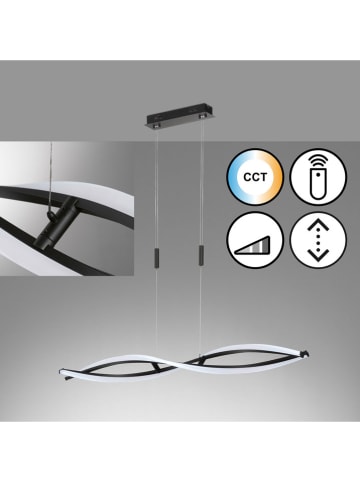 FISCHER & HONSEL LED-Pendelleuchte "Torcido" in Schwarz - (B)105,5 x (H)150 cm