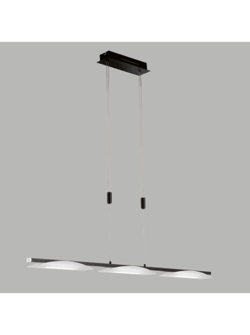 FISCHER & HONSEL Plafonnière "Kop" zwart - (B)114 x (H)150 x (D)8 cm