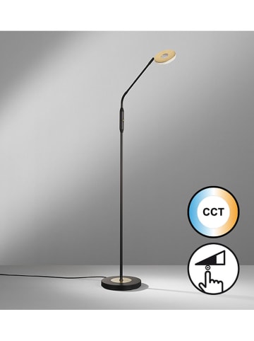 FISCHER & HONSEL Staande ledlamp zwart - (H)150 cm