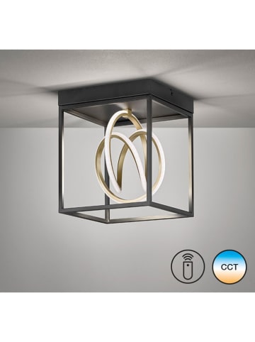 FISCHER & HONSEL LED-Deckenleuchte "Gisi" in Schwarz - (B)25 x (H)30 x (T)25 cm