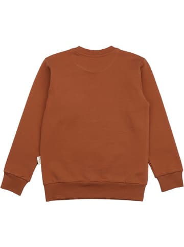 Walkiddy Sweatshirt in Hellbraun